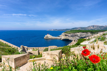 Corsica island - obrazy, fototapety, plakaty