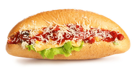 Tasty hot dog on white background