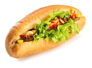 Tasty hot dog on white background