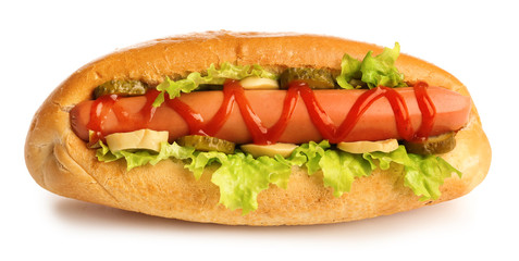 Tasty hot dog on white background