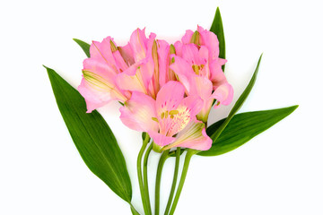 Bouquet of beautiful red lilies on a white isolated background