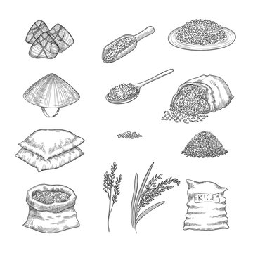 Doodle Rice. Agricultural Nature Collection Of Rice Sacks Grains Vector Hand Drawn Set. Illustration Rice Grain, Drawing Natural Cereal Nutrition