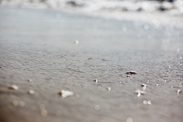 Foam on seawater. Water close-up.