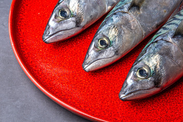 Close-up of three mackerel heads, on red plate and dark background in horizontal
