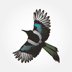 Flying Magpie in the Sky Vector Image 