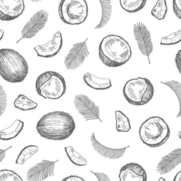 Sketch coconut pattern. Exotic food seamless texture. Palm leaves vector background. Coconut flora food, drawn seamless wallpaper illustration