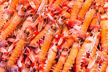 Frische Garnelen am Fischstand / Nahaufnahme