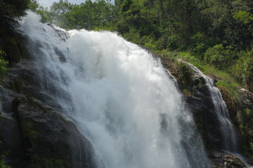 waterfall in nature forest, beautiful landscape