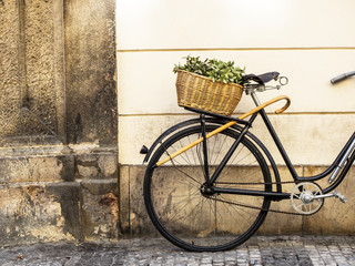 Fototapeta na wymiar bicicleta con cesto y bastón junto a una pared en Praga