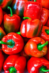 Rote Paprikaschoten auf dem Markt / Großaufnahme 