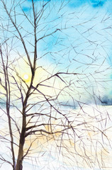 Winter colorful landscape of snowy forest. Hand drawn watercolor illustration