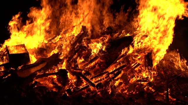 Large bonfire in the night. Fire flames on black background. 