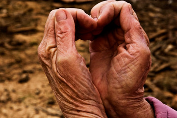Hands of an old grandmother in the shape of a heart. Grandmother's wrinkled palms depict a heart. Close-up image of a heart. Grandmother shows a heart symbol