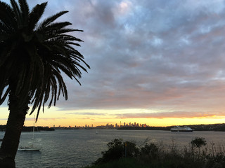 Sydney city's view from Watson Bay
