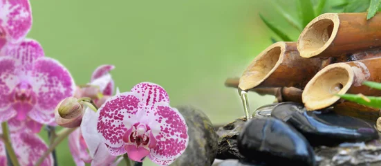 Fotobehang Zen pink orchid and bamboo fountain in green background  © coco