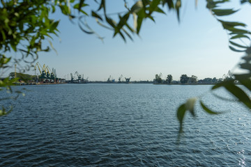 Willow branch with heart shape. In the background port cranes in harbor. Dabie Lake in Szczecin, Poland.