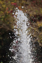 rain drops on the window