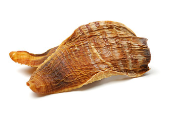 Dry young bamboo shoot on white background