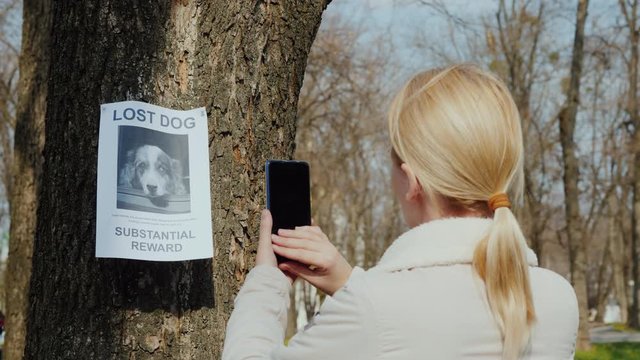 Woman takes pictures of the announcement of the missing pet