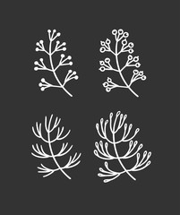 Hand drawn branch for design use. White Vector doodle flowers on black background. Abstract pencil boho drawing. Artistic illustration elements plant and bloom on black chalk board