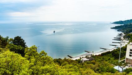 Fototapeta na wymiar Top view of a coast with flowering green trees