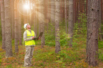 A forest engineer works in a forest with a computer. A man makes a computer taxation of a forest....