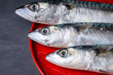 Close-up of the heads of three mackerels on a red plate and dark background horizontally with dark light and selective focus