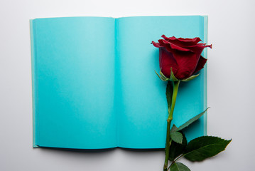 Open notebook, rose on a white background
