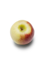 High angle view of apple against white background