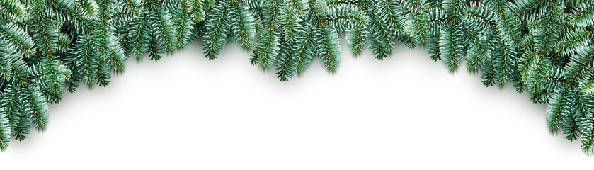 Christmas border with fir branches