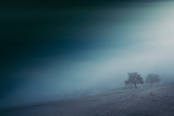 trees on hill in dark fantasy landscape with fog