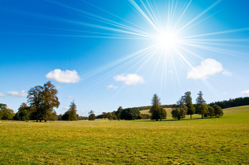 pasture land sunshine