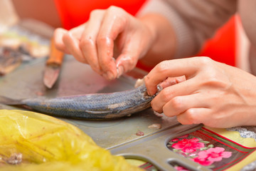 Woman housewife cleaning herring to cook fish food