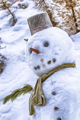 Winter snowy landscape and a funny traditional snowman with carrot nose, scarf and hat