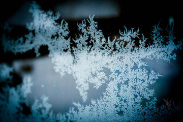 abstract winter background