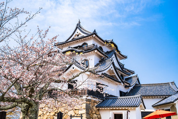 春の彦根城　天守