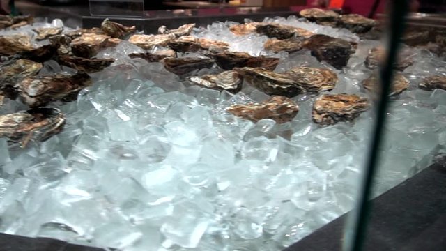 Raw whole oysters on a metal surface covered with ice cubes under glass with reflection, close-up. Fresh closed shellfish in a show window at a fish market. A variety of seafood delicacies. 