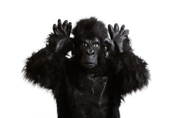 Young man in a gorilla costume making funny face against white background