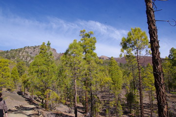 Landscapes from the "Lunar landscapes" walking route in Tenerife