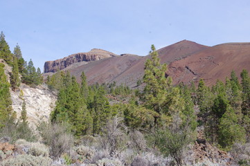 Landscapes from the 