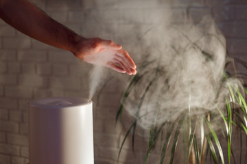 Humidifier spreading steam into the living room