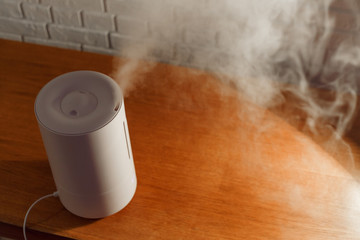 Obraz na płótnie Canvas Humidifier spreading steam into the living room