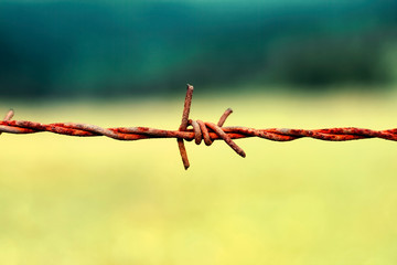 Rusty barb wire on green meadow field background