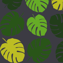 Tropic leaves pattern on black background. Seamless ornament for textile, wallpaper and cover design.   Vector illustration of philodendron leaf. Green and yellow monstera.