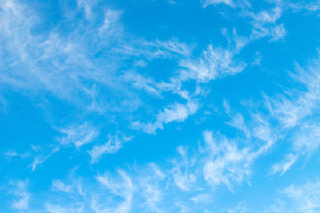 Fototapeta premium blue sky background with clouds