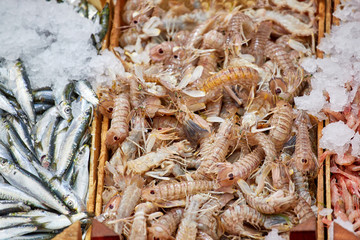 Fresh seafood at the fish market: shrimp, fish, langoustines