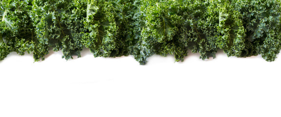 Top view. Kale leaves on a white background. Background of kale leaves. Fresh kale leaves background. Texture kale close up.