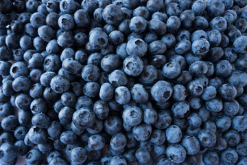 Fresh blueberry background. Texture blueberry berries close up. Ripe bilberry background. Texture bilberry berries close up. Top view. Blueberries picked in forest. 