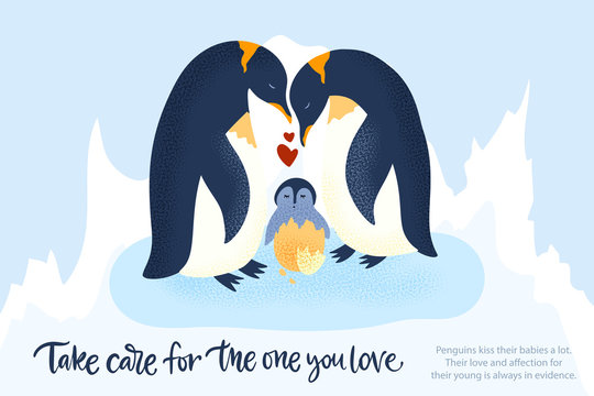 Happy valentine day vector textured animal card in a flat style with quote and real facts about love. Romantic illustration. Penguin family take care of a baby.