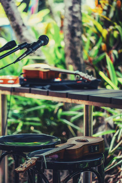 Guitars And Microphones In The Garden, Musician Instruments, Outside Concert